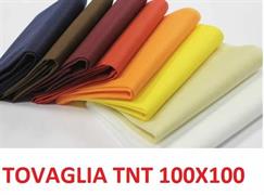 TOVAGLIA 100X100 TNT VERDE FORESTA   25PZ    TX-AM45A-VE09