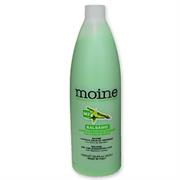 BALSAMO MOINE RENEE BLANCHE CAPELLI SECCHI E SFIBRATI 1000 ML MOINEM.2