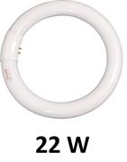 LAMP. REER NEON CIRCOLINA 22W COOLWHITE  5454398HZ