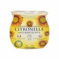 CANDELA CITRONELLA IN BICCHIERE MAIORCA SER 021649C