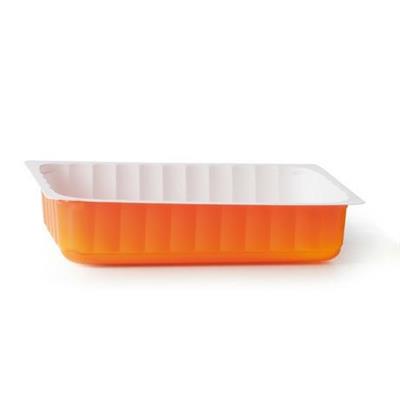 VASCHETTA GELATO TERMOF 1000 GR ARANCIO S/C ALCAS 50 PZ      043002070