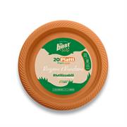 PIATTI PIANI THE BEST RIUTILIZZABILI 20pz ARANCIO 131