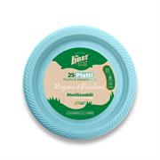 PIATTI FRUTTA THE BEST RIUTILIZZABILI 25pz AZZURRI 112